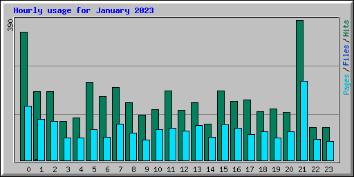 Hourly usage for January 2023