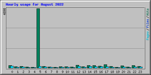 Hourly usage for August 2022