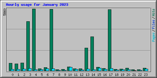 Hourly usage for January 2023