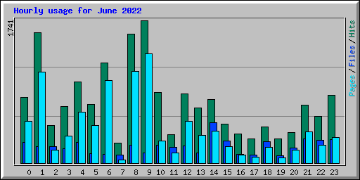 Hourly usage for June 2022