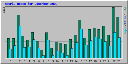 Hourly usage for December 2022